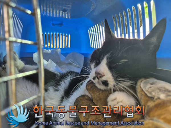 종료(자연사) 한국…